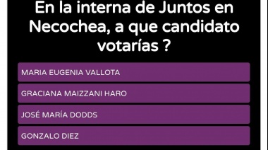 ¿A que candidato del frente Juntos en Necochea votarías?