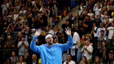 "Aunque llore, les prometo que me voy feliz", la emotiva despedida de Del Potro