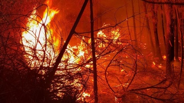 Defensa Civil brindó apoyo en una decena de incendios forestales en los últimos 15 días