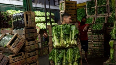 Los mayoristas del Mercado Central retrotraen precios de verduras un 20%