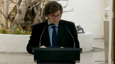 Cómo es el "plan de alfabetización" que anunció el presidente Milei