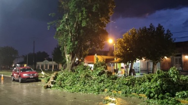 Los vientos de hasta 100 km/h dejaron heridos leves y daños materiales