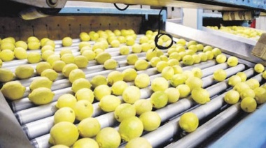 Las Pymes exportaron por US$10.032 millones en 2024, con un incremento del 17,3% interanual