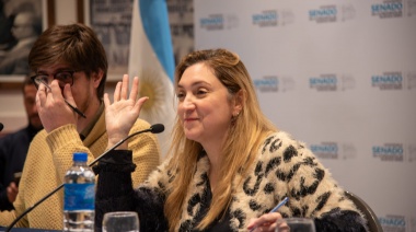 Se desató la "batalla cultural" en la legislatura bonaerense