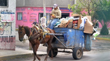 Buscarán prohibir la tracción a sangre para el transporte y la recolección en las ciudades