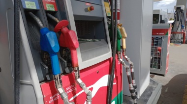 La venta de nafta premium fue la menor en una década