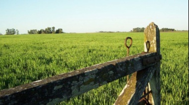 Lanzan programa para asistir a productores arrendatarios afectados por la sequía