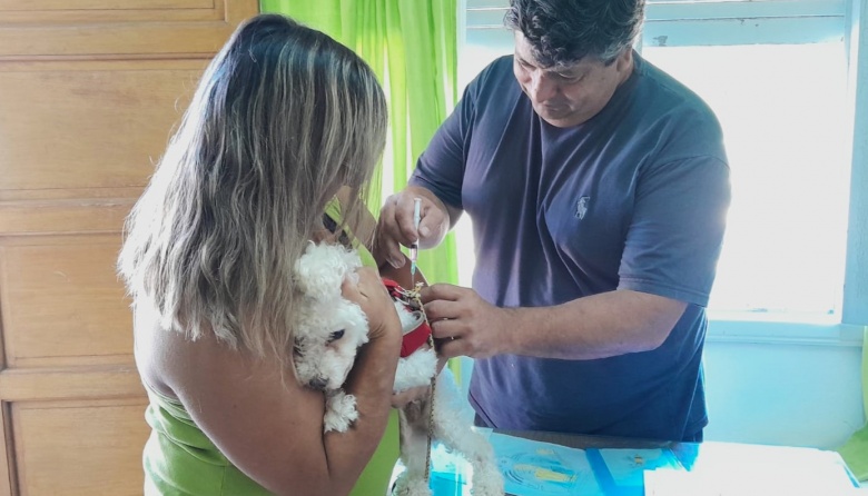 Un operativo gratuito vacunó contra la rabia a unas 90 mascotas de Juan N. Fernández