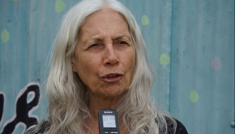 “No queremos una sociedad armada”: la advertencia de Mónica Bouyssede sobre las políticas de armas en Argentina