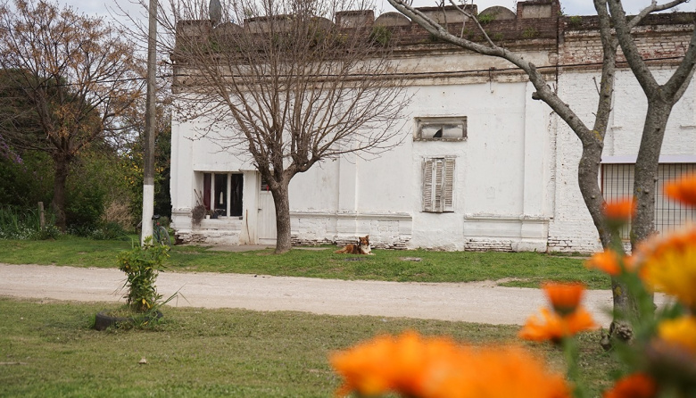 Ramón Santamarina se prepara para vivir la Fiesta del Girasol este fin de semana