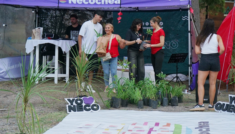 “Pino Piñonero”: Naturaleza, cultura y encuentro en el corazón del parque