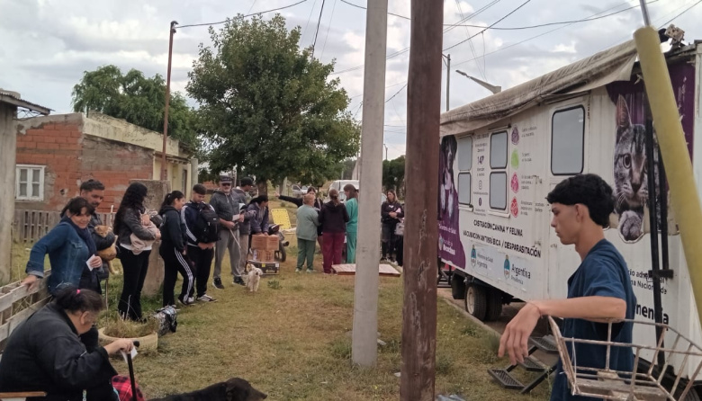 El municipio impulsa una nueva jornada de castración masiva de mascotas