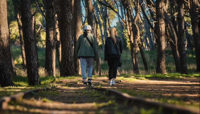 Aire libre y bienestar: conocé las propuestas para disfrutar Necochea en movimiento