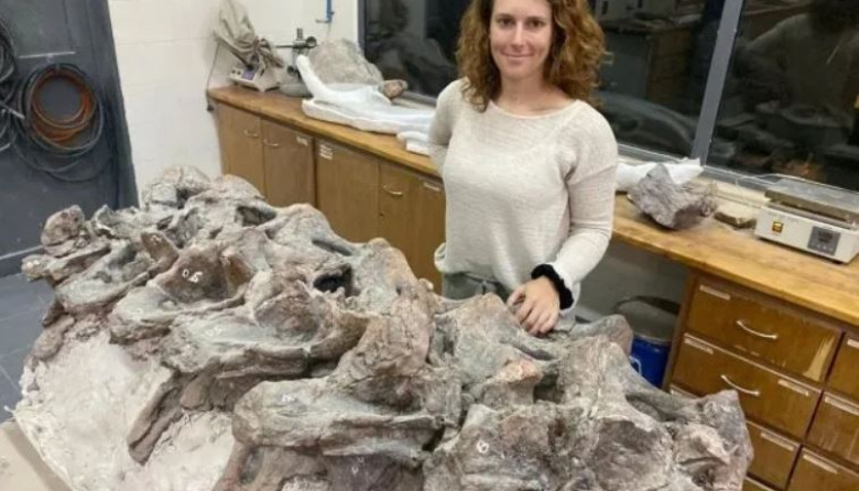 Chubut: qué se sabe del dinosaurio Bicharracosaurus