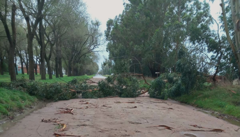 Alerta para vecinos de Villa Florida y Villa del Deportista por riesgos ante el temporal