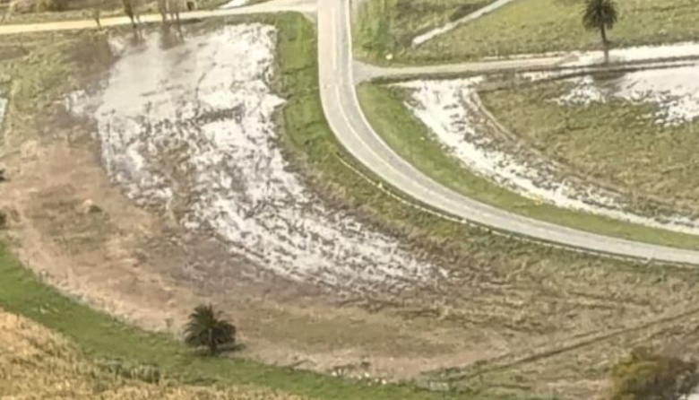 “En tres meses llovió lo de todo un año”: preocupación en el campo por las pérdidas tras el temporal