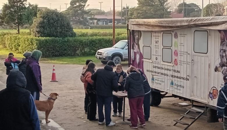 Se realizó una nueva jornada de castración masiva y habrá atención temporal del quirófano en el Corralón
