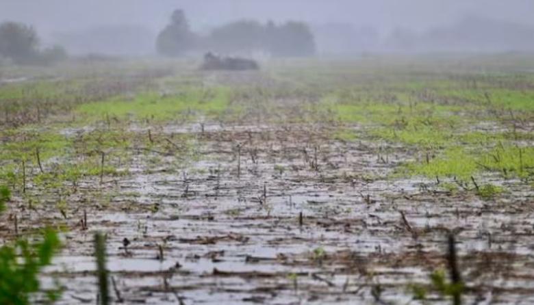 "Los suelos han sufrido diferentes cambios por los anegamientos”
