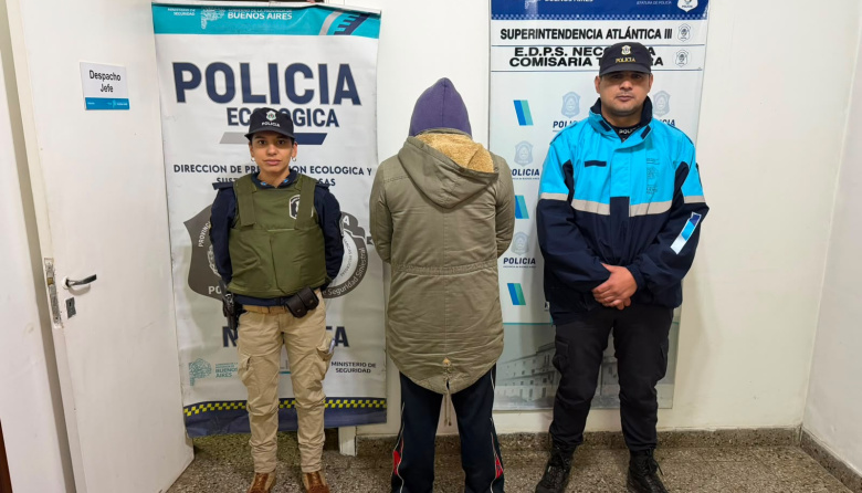 Rescataron tres pitbulls y detuvieron al acusado de maltrato animal tras una investigación iniciada con cámaras del COM