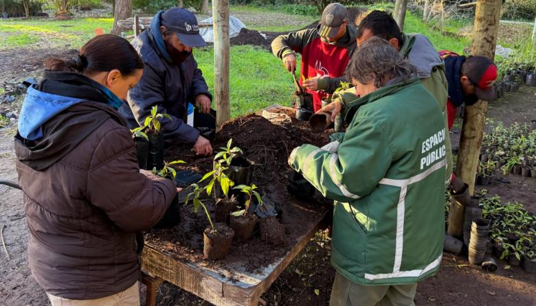 El Vivero Municipal, un trabajo de años para hacer crecer una ciudad más verde