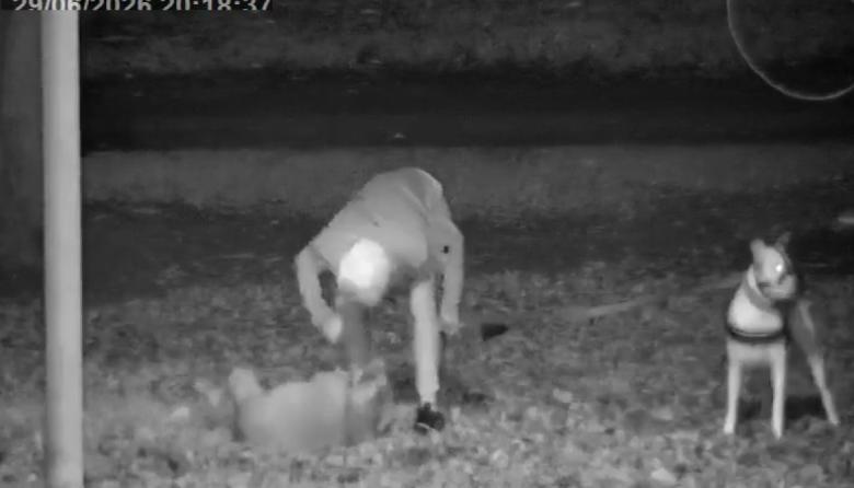 Firmeza contra el maltrato animal: el Municipio denunció penalmente un hecho detectado por el COM