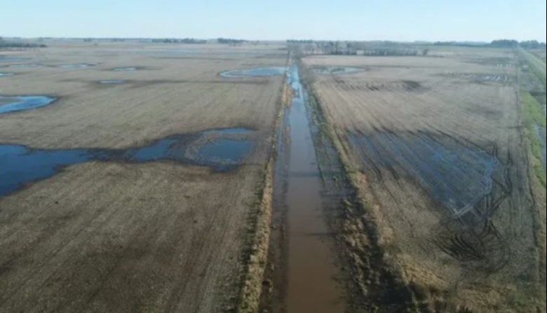 Productores podrán evaluar si solicitan adherirse a la emergencia agropecuario 
