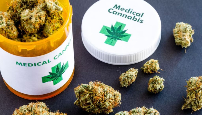 Brindarán una charla gratuita sobre cannabis medicinal y derecho a la salud en Necochea