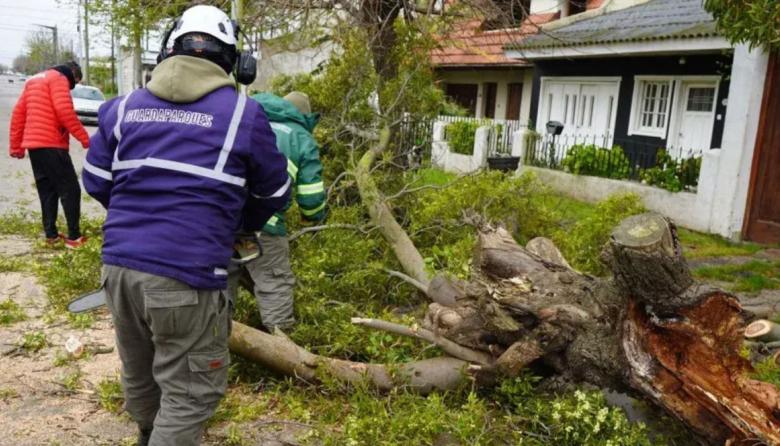 Evacuados, crecida del río Quequén, postes caídos y cortes de luz por el temporal en el Partido de Necochea