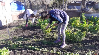 Cooperativas de trabajo se fortalecen para ampliar la producción