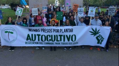 Piden la inmediata liberación del cannabicultor y denuncian violencia institucional