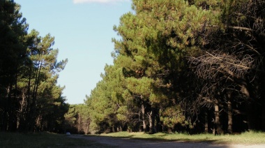 Cinco lugares recomendados para recorrer un domingo en Necochea