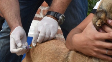 El Barrio Los Tilos III recibirá al operativo de vacunación antirrábica