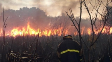 Tras 12 horas, lograron extinguir el fuego en la Reserva Ecológica de Costanera Sur