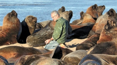 Rescataron un pequeño ejemplar de león marino en la Escollera Sur