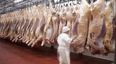 Con nuevos valores, el Gobierno extendió el acuerdo de la carne hasta fin de mes