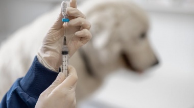 Se realizará una jornada de Vacunación Antirrábica en el CAPS Sudoeste