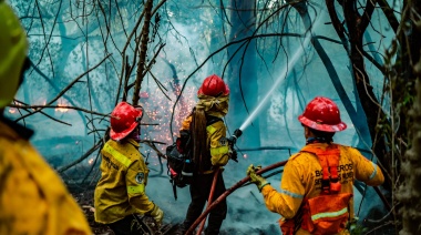 Un feroz incendio afectó 10 hectáreas en el límite entre Mar del Plata y Balcarce