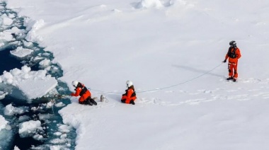 Milei planea viajar a la Antártida para iniciar un programa de control de contaminación