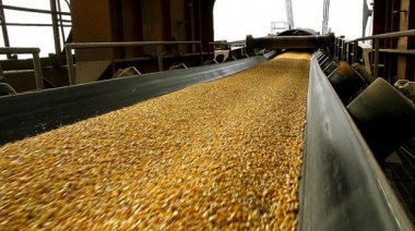 Bioseguridad: China abrió la exportación de maíz argentino