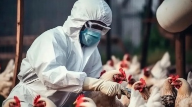 La OMS informó la primera muerte humana por gripe aviar en el mundo