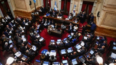 El Senado aprobó por un voto el proyecto de desguace del Estado de Milei