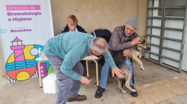 El operativo de Castración Masiva de perros y gatos vuelva al CIC de Barrio Norte