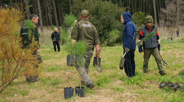 Nueva jornada de plantación en el Parque Miguel Lillo