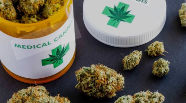 Necochea podría contar con su propio registro de cannabis medicinal