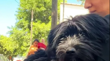 Impulsan la campaña “Menos ruido, más amor” para el cuidado de las mascotas