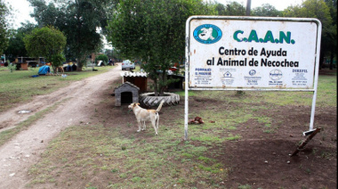 Alerta en el CAAN: la protectora de animales de Necochea atraviesa una crisis económica crítica