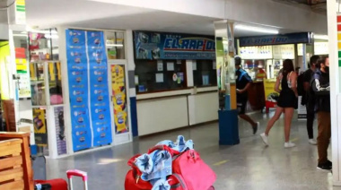 Colectivos de larga distancia: ahora está autorizado viajar con mascotas