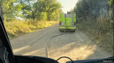 Áreas municipales dieron apoyo para sofocar un incendio forestal en un monte de eucaliptos