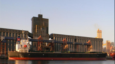 Colapso en los silos: La Libertad Avanza exigió revisar las concesiones del Puerto Quequén