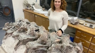 Chubut: qué se sabe del dinosaurio Bicharracosaurus